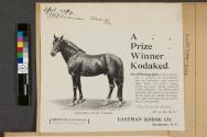 Advertisement for Kodak Cameras