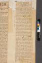 Newspaper article regarding the Eastman Photographic Exhibit