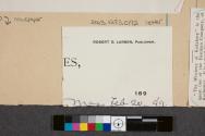 Letter from the Boston Times to Eastman Kodak Company