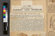 Magazine clipping promoting the Kodak camera