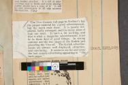 Magazine article regarding Kodak's advertising