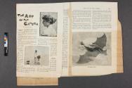 Magazine article entitled "The Art of the Camera" featuring Kodak photographs