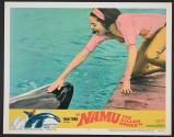 Namu, the Killer Whale