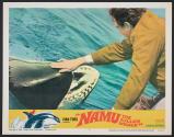 Namu, the Killer Whale