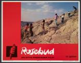Rosebud