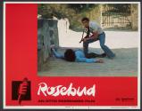 Rosebud
