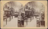 [Interior of exhibition hall with specimen displays]
