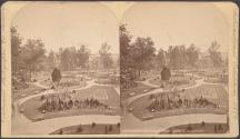 Horticultural Grounds From Horticultural Building