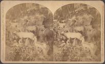 Mrs. Maxwell's Rocky Mountain Museum Series, Colorado Building