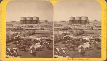 [Stock Yards, Chicago, Illinois]