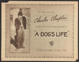 A Dog's Life