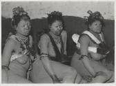 The Great Tribes of Africa