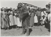 The Great Tribes of Africa