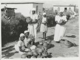 The Great Tribes of Africa