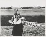 The Great Tribes of Africa