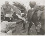 The Great Tribes of Africa
