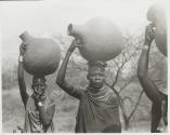 The Great Tribes of Africa