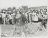The Great Tribes of Africa