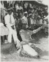 The Great Tribes of Africa