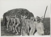The Great Tribes of Africa