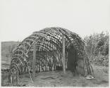 The Great Tribes of Africa