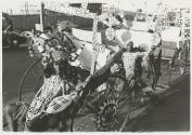 The Great Tribes of Africa