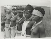 The Great Tribes of Africa