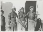 The Great Tribes of Africa
