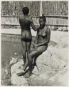 The Great Tribes of Africa