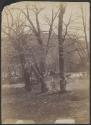 [Group kneeling in wooded area]