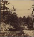 [Landscape of woods and rocks]