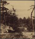 [Landscape of woods and rocks]