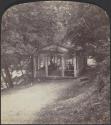 [People in gazebo surrounded by trees]