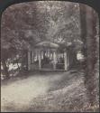 [People in gazebo surrounded by trees]