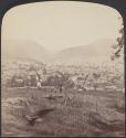 [Looking northwest towards Cumberland and the Narrows, MD]