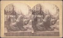 Sea Lions, U. S. Government Building