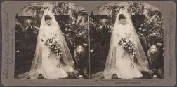 The Bride - "Let Her Beauty be Her Wedding Dower"