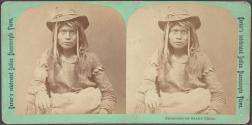 Shoshone or Snake Chief