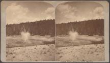 Cat-fish Geyser, Yellowstone Park, Wyoming