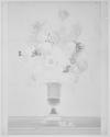 [Bouquet of flowers]