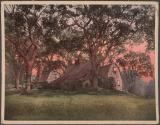The Old Fairbanks House, Dedham, Massachusetts