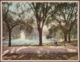 The Frog Pond, Boston Common