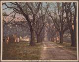 The Hermitage, Savannah