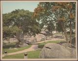 Entrance to Devil's Den, Gettysburg