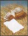 [Bread on wheat (A&P)]