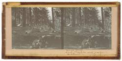 Lady Franklin and Party on Moss Rock below the Vernal Fall, Yosemite Valley, Mariposa Co.