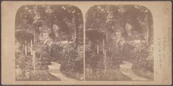 [Garden at Mill Bank, looking west from house] \ [My Aunt's Garden]