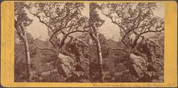 [View on the road from Calistoga to The Geysers, California]