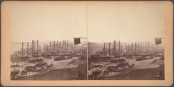 [Levee View]