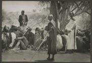 The Great Tribes of Africa